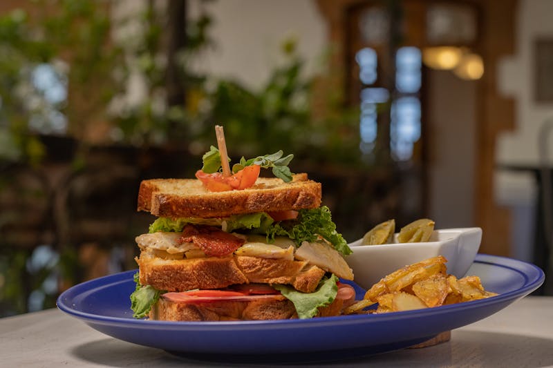 Grilled chicken club sandwich